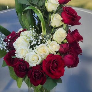 Rose mix (White and Red)