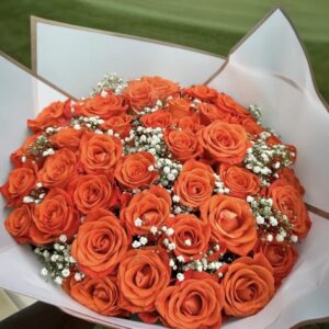 Orange roses with baby breath