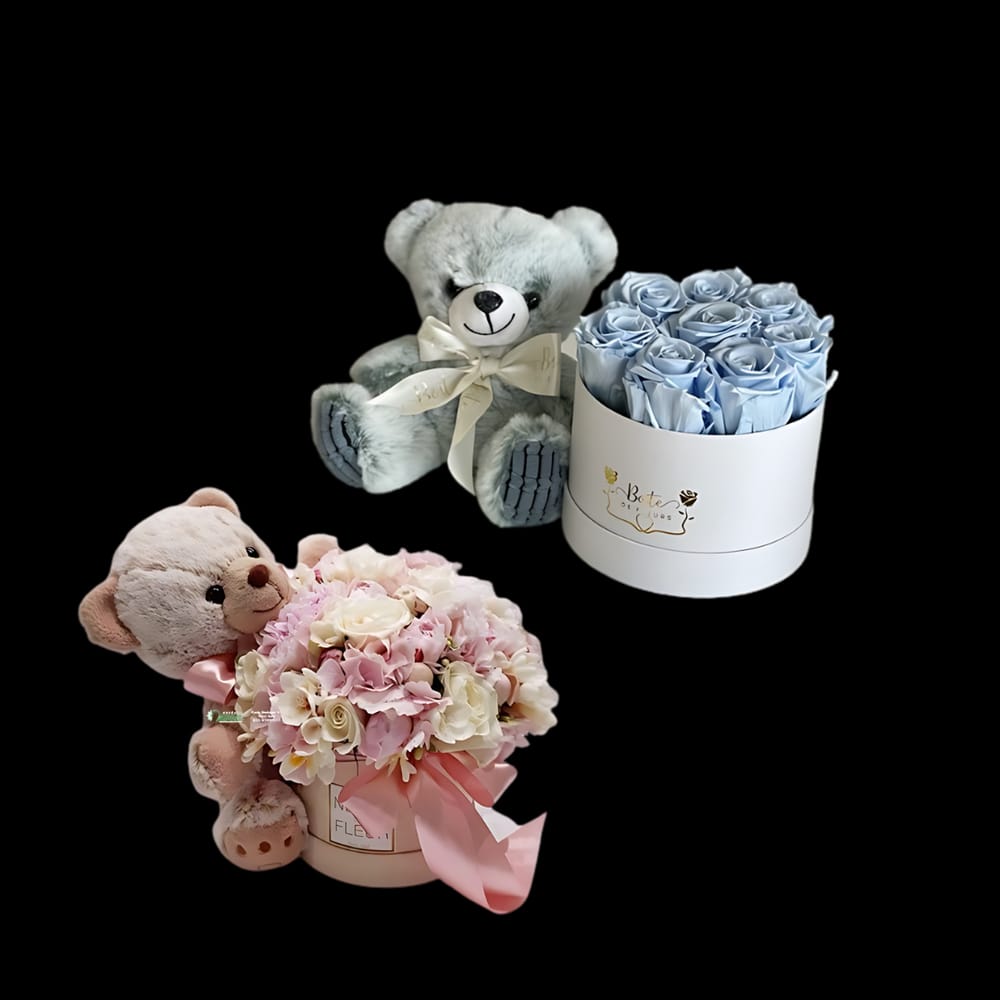 Newborn Celebration Gift Set