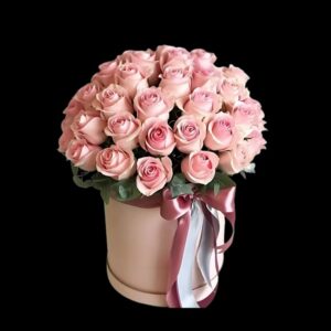 Elegant Soft Pink Roses