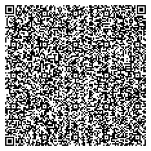 IMG-20250716-WA0009